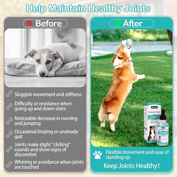 Hyaluronic Acid Joint Supplement for Dogs, Dog Hip and Joint Supplement, High Molecular Weight Natural Support for Dog Joint Health & Movement, Premium Dogs Essentials for Joint, Skin, Coat, Eye Care