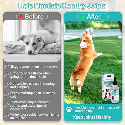 Hyaluronic Acid Joint Supplement for Dogs, Dog Hip and Joint Supplement, High Molecular Weight Natural Support for Dog Joint Health & Movement, Premium Dogs Essentials for Joint, Skin, Coat, Eye Care