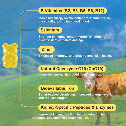 Well&Whole Grass Fed Beef Kidney Gummies, DAO Enzyme & Histamine Balance Support Supplement, DAO-Rich Food 5:1 Bovine Kidney Extract for Detox, Sugar-Free, 60 Gummies