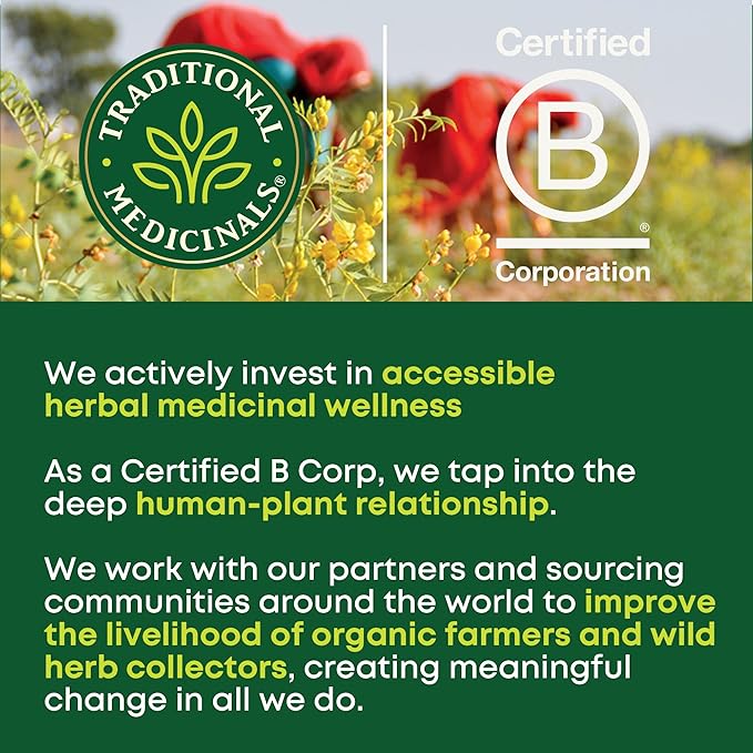 Traditional Medicinals Organic, Stress Ease Focus, Ginseng Wild Apple Mint Tea - Balanced Energy Support & Adaptogens - Kosher, Non-GMO, Caffeine-Free, Compostable - 16 Tea Bags
