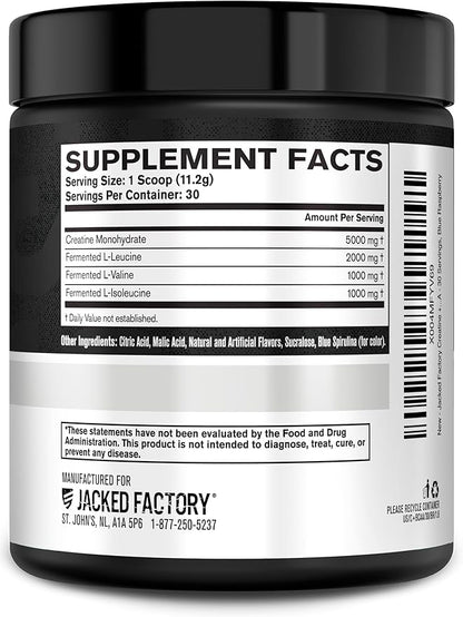 Jacked Factory Creatine + BCAAs - Creatine Monohydrate + BCAA Powder for Increased Post-Workout Recovery, Performance, Lean Muscle Growth, & Reduced Fatigue - 30 Servings, Blue Raspberry
