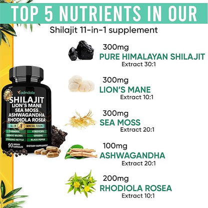 Adndale Shilajit for Men and Women. Pure Himalayan Organic Shilajit Capsules with Sea Moss Ashwagandha Rhodiola Rosea Lion’s Mane. 90 Count
