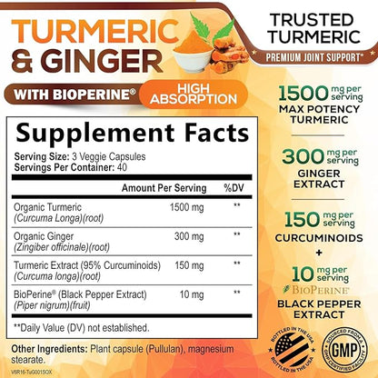Turmeric Curcumin Supplement - 95% Curcuminoids with Organic Turmeric & Ginger, BioPerine Black Pepper Extract for Best Absorption, Natural Vegan Joint Support, Non-GMO, Bottled in USA - 120 Capsules
