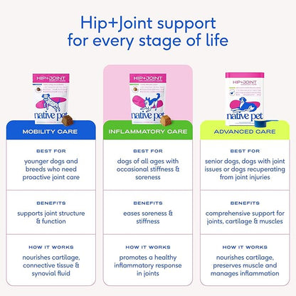 Native Pet Inflammatory Care - Pain Relief for Dogs - Green-Lipped Mussel, Turmeric & Collagen for Dogs - Hip and Joint Supplement Supports Healthy Inflammatory Response & Joint Comfort - 30 Chews