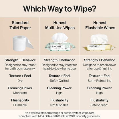 The Honest Company Flushable Wipes for Sensitive Skin, Hypoallergenic, Fragrance-Free, Gilded Wings Design, 126 Count