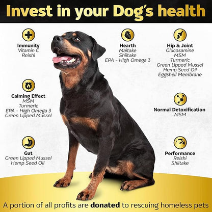 Soft Chews Hip and Joint Supplement for Dogs - Dog Joint Pain Relief Treats - Glucosamine, Chondroitin, Turmeric- Mobility Supplement