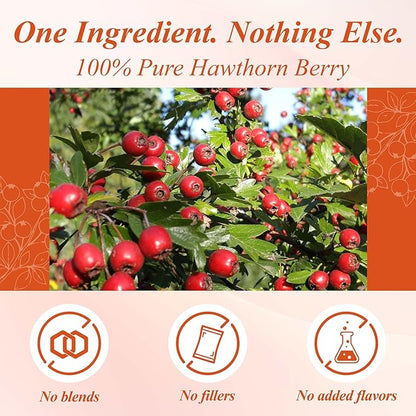 WT WEETEE Hawthorn Berry Tea Bags 100 Count, 100% Hawthorn Fruit, Corn Fiber Pyramid Bags, Antioxidant & Caffeine-Free Herbal Tea