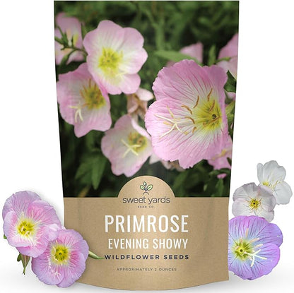 Primrose Evening Showy - Bulk 2 Ounce Pouch - 400,000 Flower Seeds for Planting - Oenothera speciosa