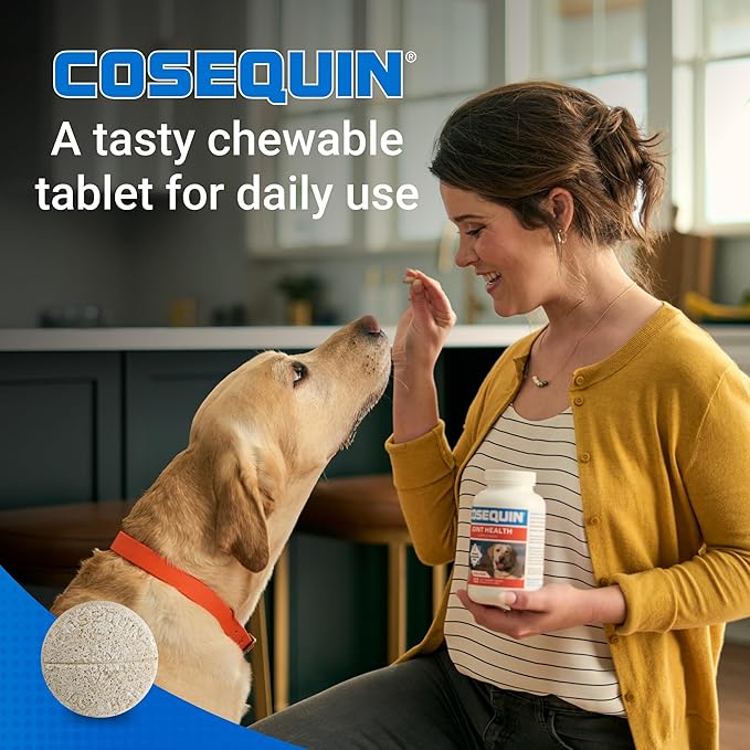 Nutramax Cosequin for Dogs Joint Health Supplement, Contains Glucosamine for Dogs, Plus Chondroitin and MSM, Supports Healthy Joints, for All Breeds and Sizes, Chewable Tablets, 132 Count (Pack of 2)