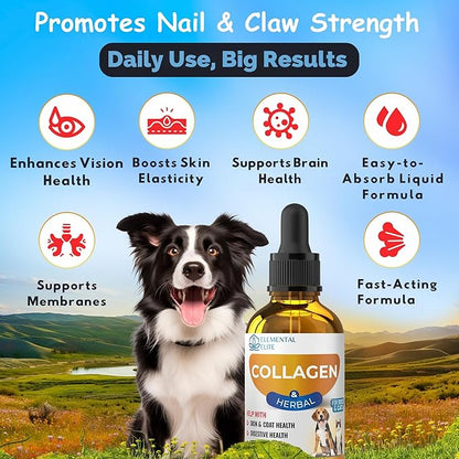 Liquid Collagen for Dogs and Cats, Skin & Coat Supplement, Itch Relief, Joint & Mobility Support, Enriched with Grass-Fed Collagen, Daily All-in-One Pet Health Formula