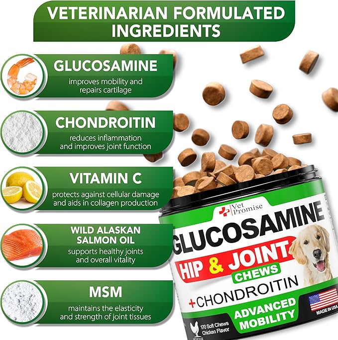 Glucosamine for Dogs - Hip and Joint Supplement for Dogs - Glucosamine Chondroitin - Joint Pain Relief Pills - MSM - Advanced Health Support Supplement - 170 Mobility Chews - Made in USA