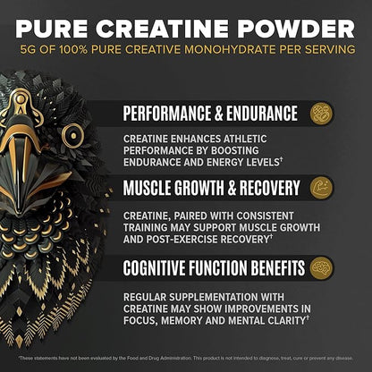 BIRDMAN Falcon Performance Vegan Protein Powder, 31g Protein, 5g Creatine, 5g BCAA, Probiotics, Electrolytes, Pre Workout, Low Carb, Sugar Free & Dairy Free, Plant Based Vanilla Protein, 29 Servings
