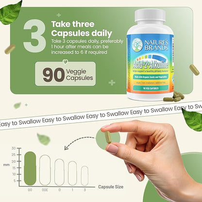 Nature’s Brands Acid-2-Alkaline Supplements for Energy, Digestion & Immunity - pH Balance & Detox Support with Turmeric, Bilberry, Barley Grass & Burdock - 90 Vegetarian Capsules