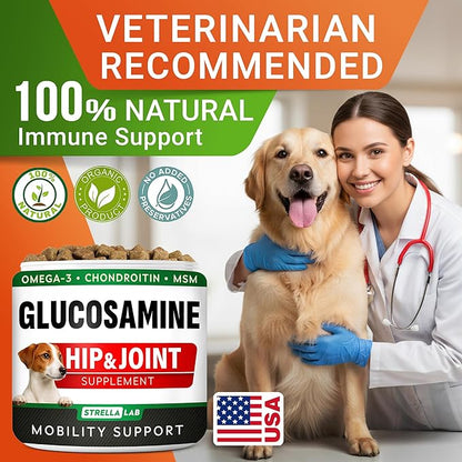 Glucosamine Treats for Dogs - Joint Supplement w/Omega-3 Fish Oil - Chondroitin, MSM - Advanced Mobility Chews - Joint Pain Relief - Hip & Joint Care - Peanut Butter Flavor - 240 Ct