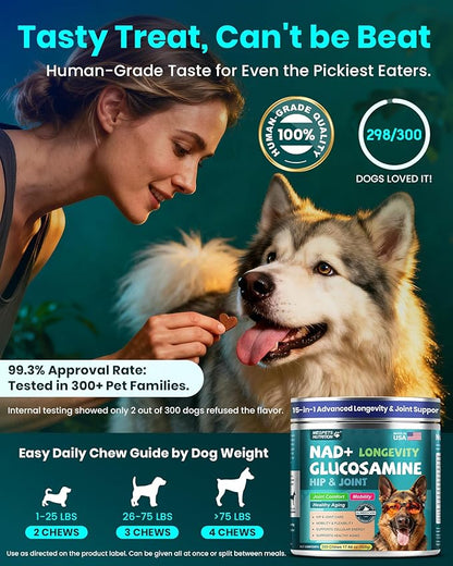 NAD+ Glucosamine for Dogs Hip and Joint Supplement - 300 Soft Chews - Advanced Mobility Support with MSM, Chondroitin, Resveratrol & CoQ10 - Healthy Aging & Vitality