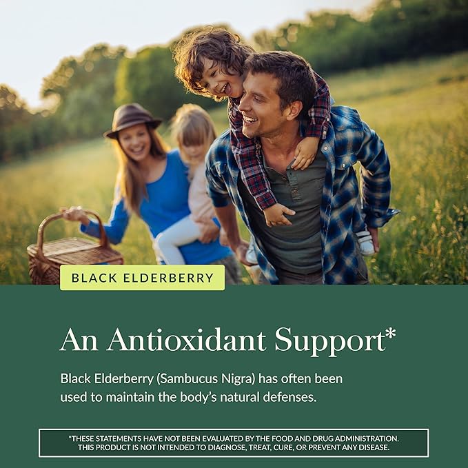 Gaia Herbs Black Elderberry (Sambucus nigra) Extra Strength Gummies - Delicious Immune Support Supplement* - Certified Organic Black Elderberries for Immune System Support* - 40 Gummies (20 Servings)