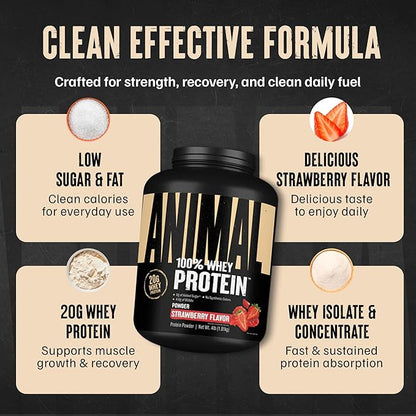 Animal 100% Whey Protein Powder – Whey Blend for Pre or Post Workout, Recovery, Anytime Low Sugar Protein Boost Meal Replacement with BCAA Branched Chain Amino Acids – New Flavor, Strawberry, 4 lb