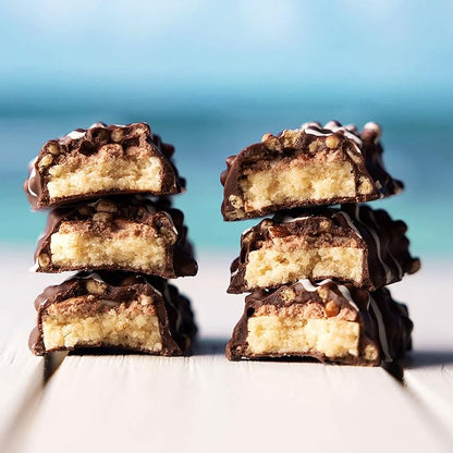 FITCRUNCH Snack Size Protein Bars, 6-Layer Baked Bar, 5g of Sugar & Soft Cake Core (18 Bars, Chocolate Coconut Almond)