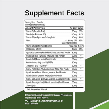 CalmSupport: Stress & Relaxation Support - Ashwagandha, Passion Flower, Valerian Root, Ginger, GABA, Velvet Bean, Motherwort, Oat Seed, L-Theanine, L-Tryptophan, Folate, C,B1,B6,B12,Zinc - 60 Capsules