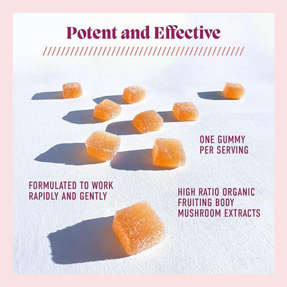 Microjoy Concentrate Gummies – Focus, Memory, Brain Health & Mood Support Supplement – Vegan, Non-GMO, Gluten-Free - Lemon Flavor (30 Servings)