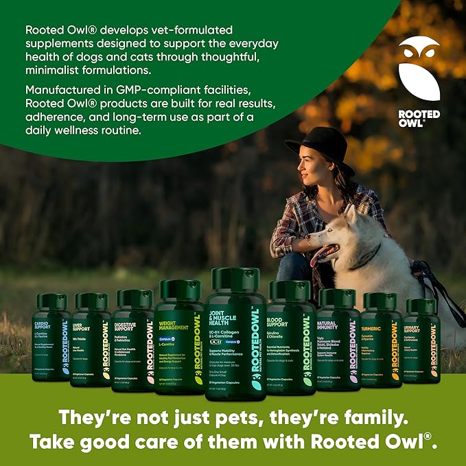 Rooted Owl Metabolism Support - L-Carnitine Supplement for Dogs and Cats to Support Healthy Weight - Dog and Cat Supplement - 60/ct