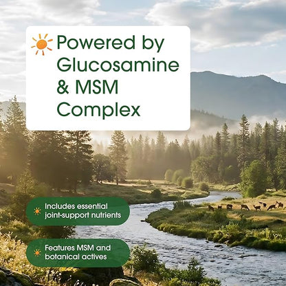 NatureBell Advanced Glucosamine Chondroitin & MSM - 240 Capsules - 10-in-1 Joint Support Complex* - Includes Hyaluronic Acid, Turmeric, Glucosamine, Collagen & More