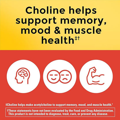 Nature Made Extra Strength Dosage Choline Supplements 800 Mg Per 3 Capsules, Brain Health, Mood, Muscle & Liver Support, Vegetarian, 60 Capsules, 20 Day Supply