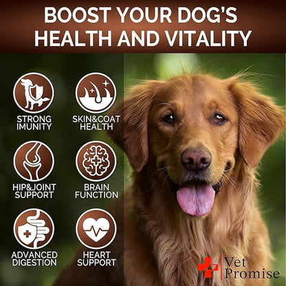 (2 Pack) Turkey Tail Mushroom for Dogs - 340 Chews - Mushroom Supplement for Dogs - Lions Mane - Reishi - Immunity Support Multivitamin Vitamins - Joint Health - Energy - Gut - Skin - Made in USA