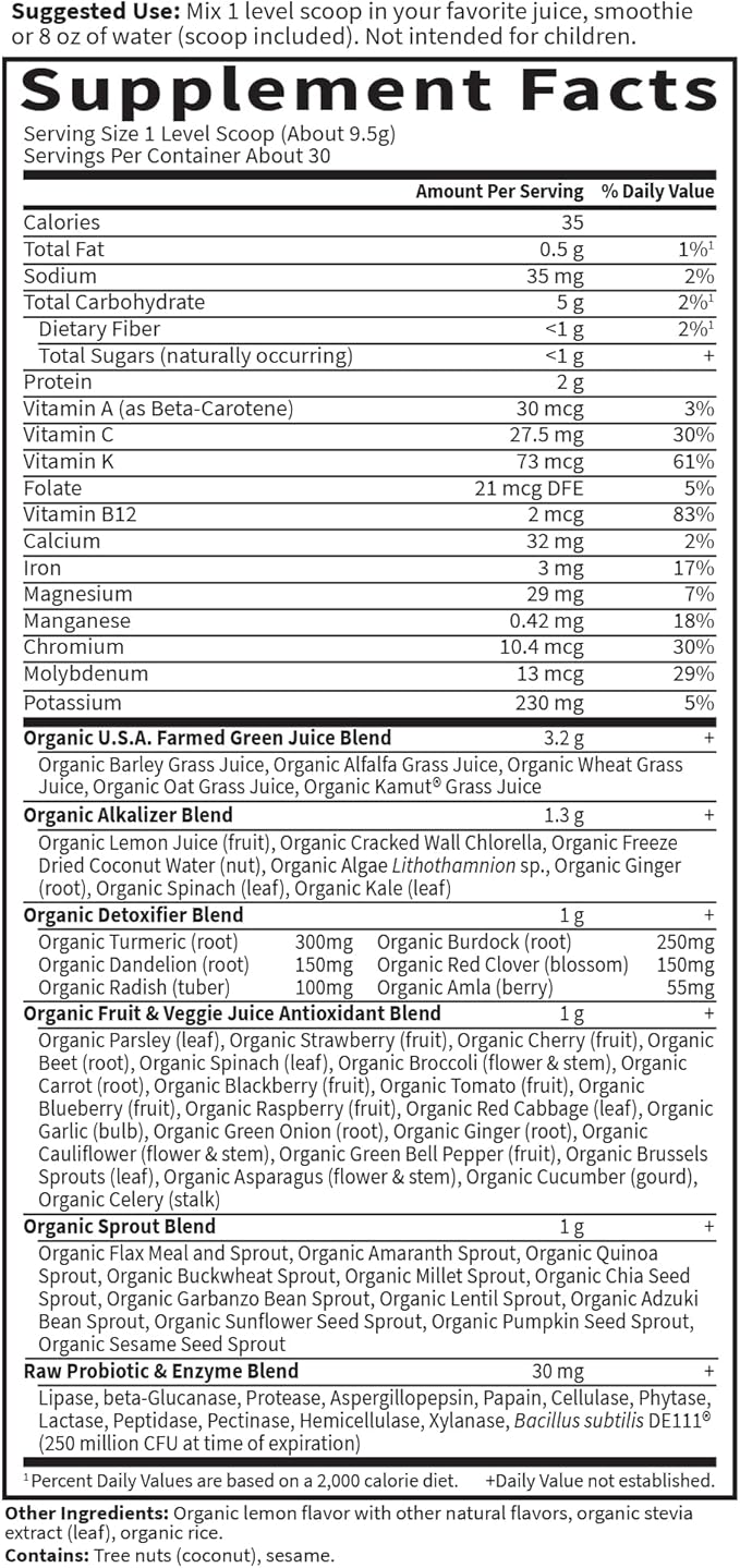 Garden of Life Raw Organic Perfect Food Alkalizer and Detoxifier,Lemon Ginger Flavored Superfood Powder Supplement,30 Servings,(Pack of 2)