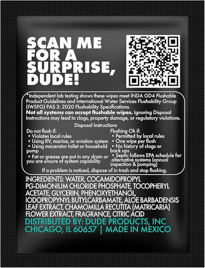 DUDE Wipes - On-The-Go Flushable Wipes - 4 Pack, 60 Count - Mint Chill Extra-Large Individually Wrapped Adult - with Eucalyptus & Tea Tree Oil - Septic and Sewer Safe