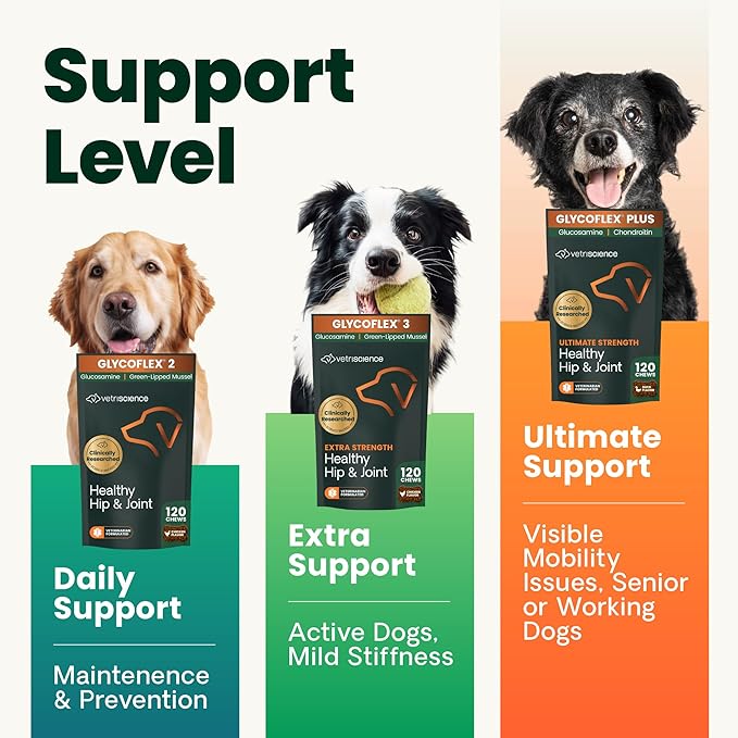 VetriScience Ultimate Strength Healthy Hip & Joint Chews, GlycoFlex Glucosamine, Chondroitin & GreenLipped Mussel Support Supplement for Dogs, Soothe Joint Discomfort, Duck,120 Ct (Pack of 2)