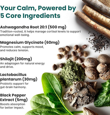 5-in-1 Cortisol Supplement for Women and Men with Ashwagandha for Calmness, Focus, and Adrenal Support Supplements with Shilajit Extract, Magnesium Glycinate, Probiotics (120 ct) (Pack of 2)