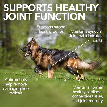 Vet's Best Advanced Hip & Joint Dog Supplements | Formulated with Glucosamine and Chondroitin to Support Dog Joint and Cartilage Health (3165810242)