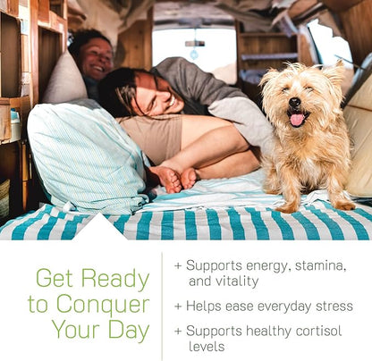Irwin Naturals Gummies Maca Root + Ashwagandha, Adaptogenic Stress, Energy & Vitality Support, Vegan, 42 Gummies