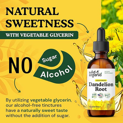 Wild & Organic Dandelion Root Supplement - Liver Detox Cleanse Support - Dandelion Root Tincture - Add to Tea - Herbal Liver Supplement - Vegan, Sugar & Alcohol-Free Liquid Extract Drops - 2 fl oz