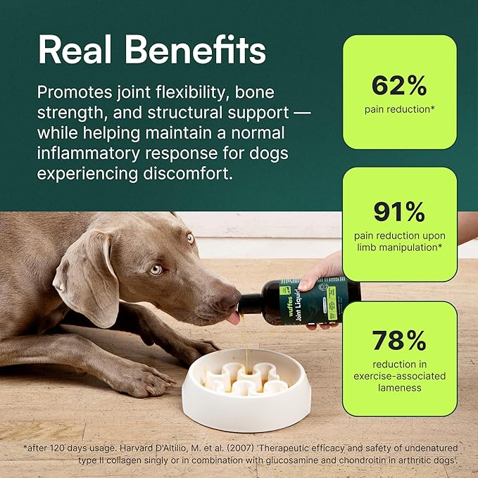 Wuffes Advanced Joint Liquid for Dogs, Hip & Joint Support Supplement with Glucosamine, Chondroitin, UC-II® Collagen, and MSM, for Small & Large Breeds, 16 Oz