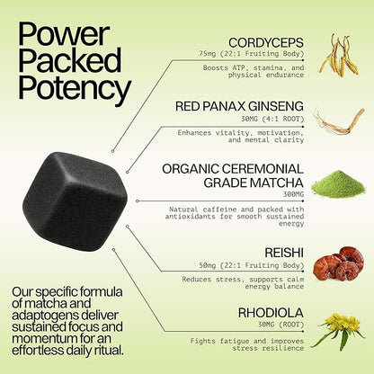 Organic Matcha & Mushroom Energy Gummies | Ceremonial Grade Matcha + Cordyceps, Reishi, Panax Ginseng & Rhodiola | Clean Sustained Energy, Focus & Stress Support | Vegan, Non-GMO