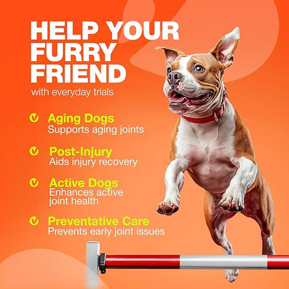 Glucosamine for Dogs - Joint Supplement for Dogs - Glucosamine Chondroitin - 180 Hip and Joint Care Mobility Chews - MSM, Turmeric - Advanced Mobility Support - Bone Health - Large and Small Breeds