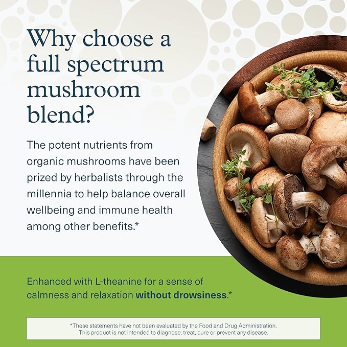 Youtheory Mushroom Stress Complex - 6 Mushroom Blend - Stress Management Support* - Immune Support - L-Theanine Supplement - Dairy, Soy & Gluten Free - 60 Vegetarian Capsules