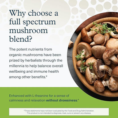 Youtheory Mushroom Stress Complex - 6 Mushroom Blend - Stress Management Support* - Immune Support - L-Theanine Supplement - Dairy, Soy & Gluten Free - 60 Vegetarian Capsules
