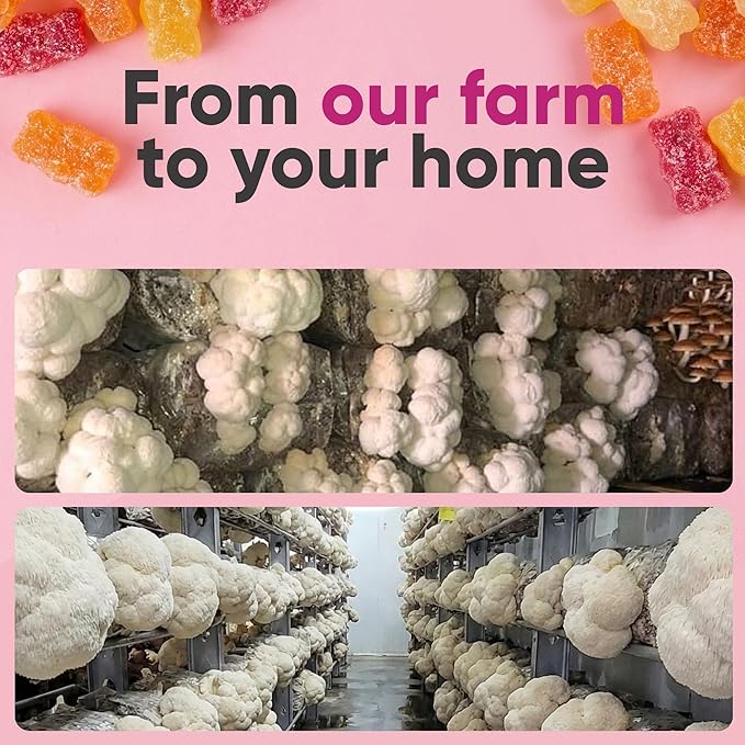 E&H Farms Sleep Mushroom Gummies for Focus & Energy - Prebiotic & Functional Mushrooms with Lion's Mane, Reishi, Cordyceps & Ashwagandha - Low Calorie Daily Vegan Supplement Gummies - 90 Mixed Flavor