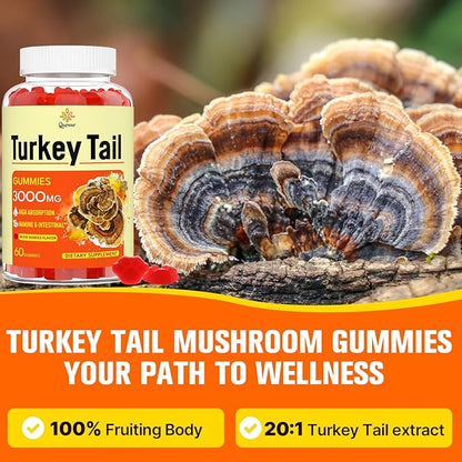 Turkey Tail Mushroom, Turkey Tail (100% Fruiting Body, 40% Beta Glucans) add Black Pepper, Mushroom Gummies for Gut, Energy, Brain & Immune Support, Mixed Berries Flavor | Vegan, Non-GMO, 60ct