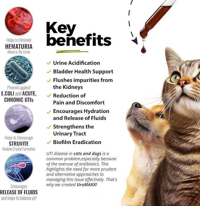 UroMAXX, Cat & Dog Urinary Tract Treatment, Bladder & Kidney Support for Dogs and Cats, Powerful Yet Gentle Pet Care, with Liquid Cranberry & Glucosamine, Chicken Flavor, 6 oz Bottle, 1 Pack