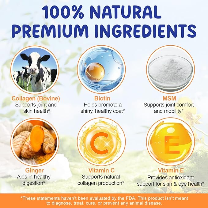 Liquid Collagen for Dogs, Dog Joint Supplements, Skin and Coat Supplement, Dry and Itchy Skin Relief, Support Digestive Health, Dog Collagen Drops with Biotin, MSM, Ginger, Bacon Flavor