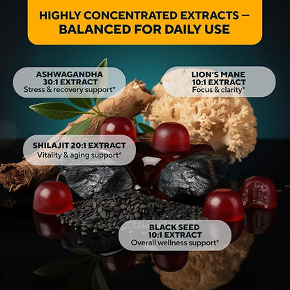 VitaUp Himalayan Shilajit Gummies - Sugar Free Natural Shilajit Gummies with Fulvic Acid, Ashwagandha, Lions Mane, Black Seed - Immune & Energy Support - 120 Count