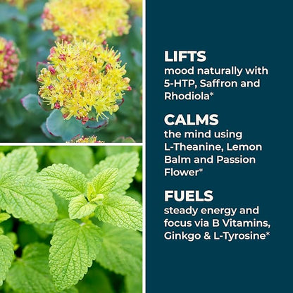LifeSeasons - Mood Stabili-T - Positive Mood Booster - Enhanced Calmness and Happiness - Relaxed and Balanced Mind - Contains Rhodiola, Ginkgo Biloba, and Vitamin D3 - (60 Capsules)