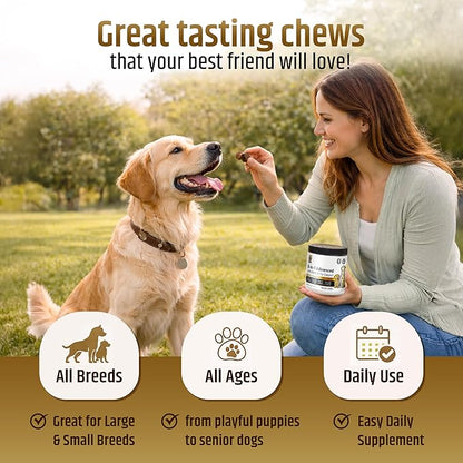 PetriGuard | Advanced Hip, Back & Joint Supplement for Dogs | Ultra Strength Formula w/ 8 Active Ingredients | USA Made & Veterinarian Approved | Glucosamine, Turmeric, MSM + 5 More - 120 Chews