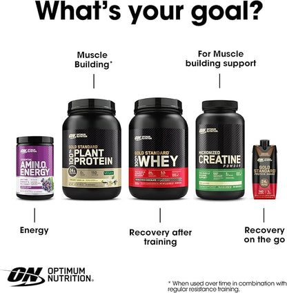 Optimum Nutrition Amino Energy - Pre Workout with Green Tea, BCAA, Amino Acids, Keto Friendly, Green Coffee Extract, Energy Powder - Orange Cooler, 65 Servings (Packaging May Vary)