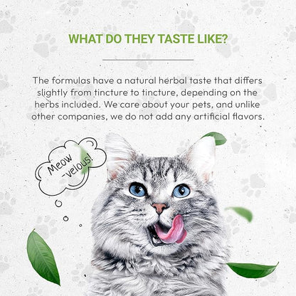Lion's Digestion | Natural Herbal Dietary Supplement for Cats | Healthy Digestion Support | Alcohol-Free Extract, Fennel Seed, Chamomile, Dandelion Root, Calendula, Peppermint 2 oz