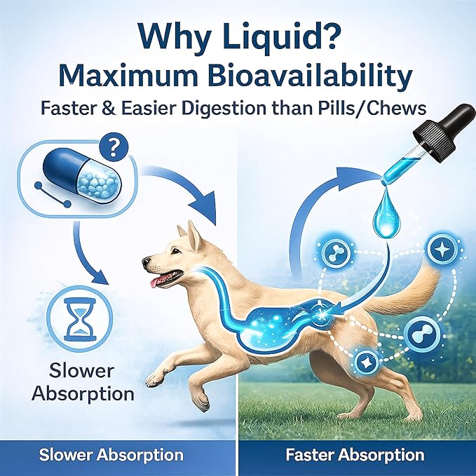 Premium Liquid Collagen for Dogs - Skin & Coat Supplement with Hyaluronic Acid & Biotin, Supports Joint Health, Mobility & Hydration for All Dogs, Bacon Flavor - 2 fl oz (3)